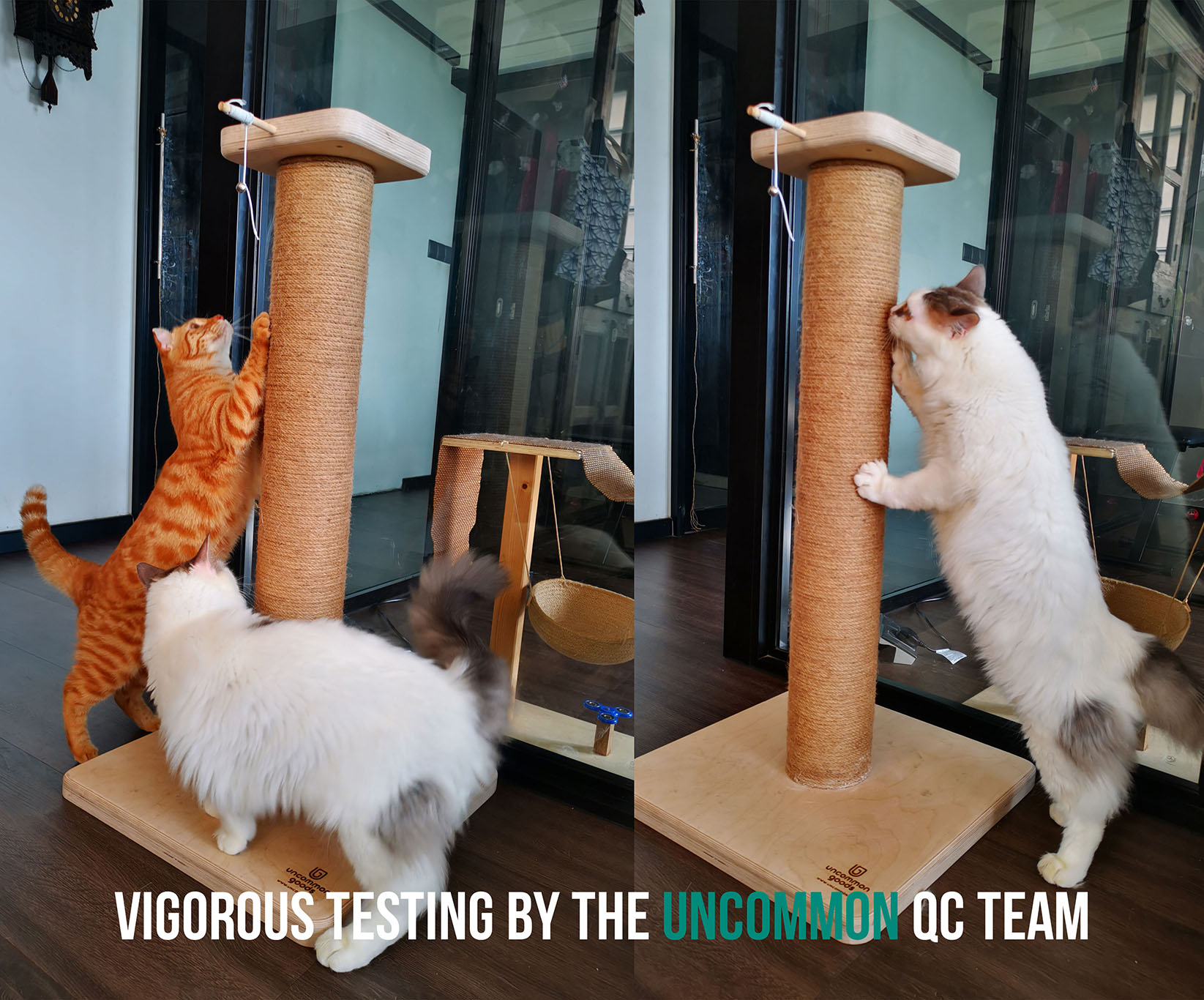 Uncommon Goods Singapore creates unique cat posts for homes