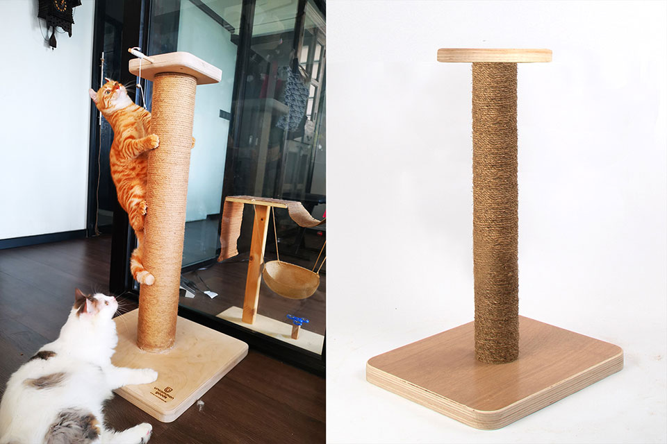 Uncommon Goods Singapore cat scratching posts in action